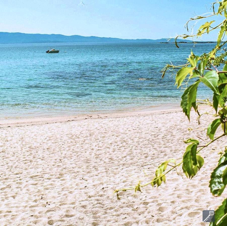 Evasion Corse - T2 Vue Mer, Piscine & Plage Ajaccio  Luaran gambar
