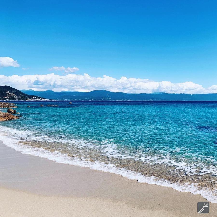 Evasion Corse - T2 Vue Mer, Piscine & Plage Ajaccio  Luaran gambar