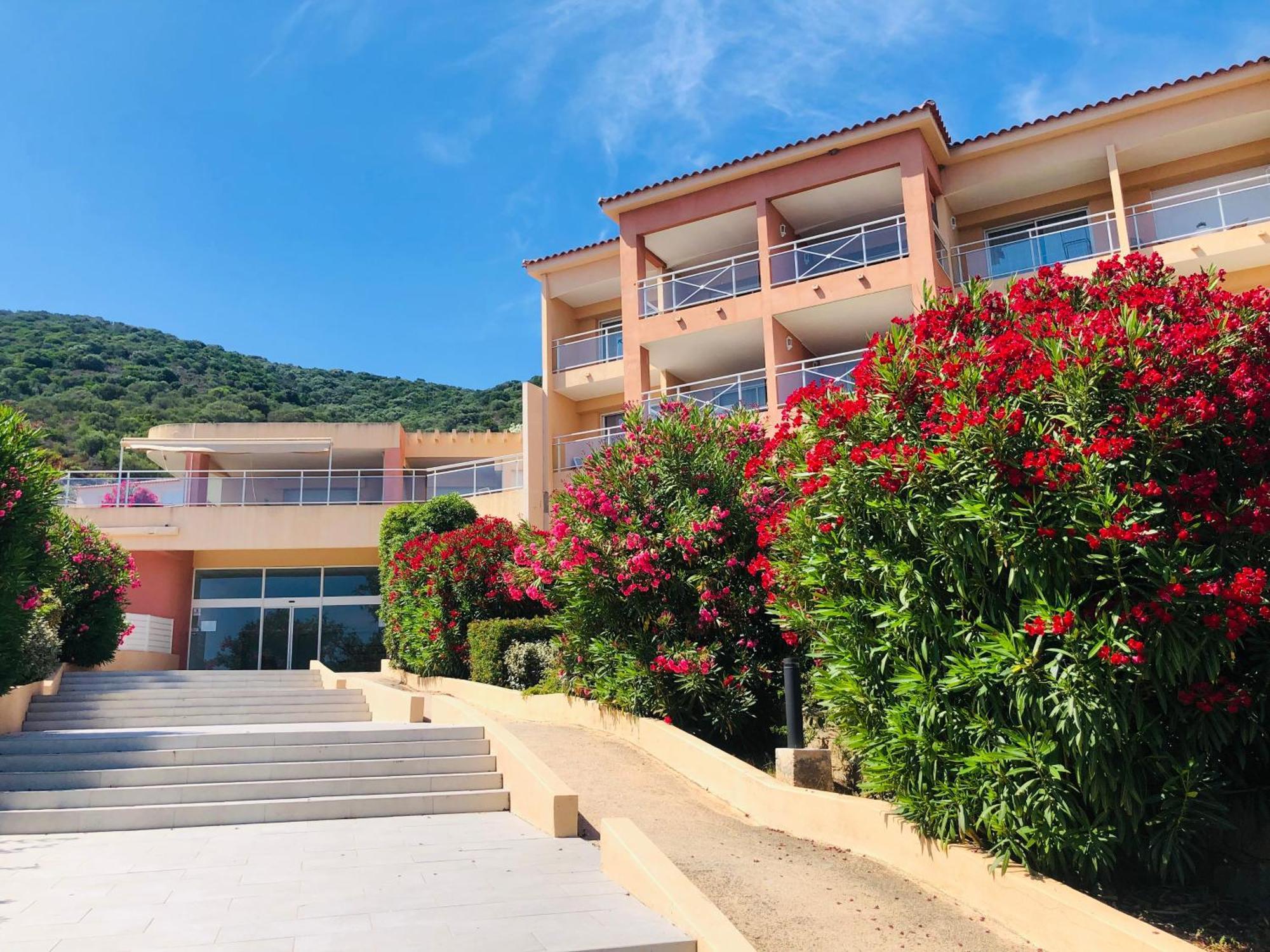 Evasion Corse - T2 Vue Mer, Piscine & Plage Ajaccio  Luaran gambar